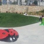 חיפושית לטיפוס -מעון אלוין